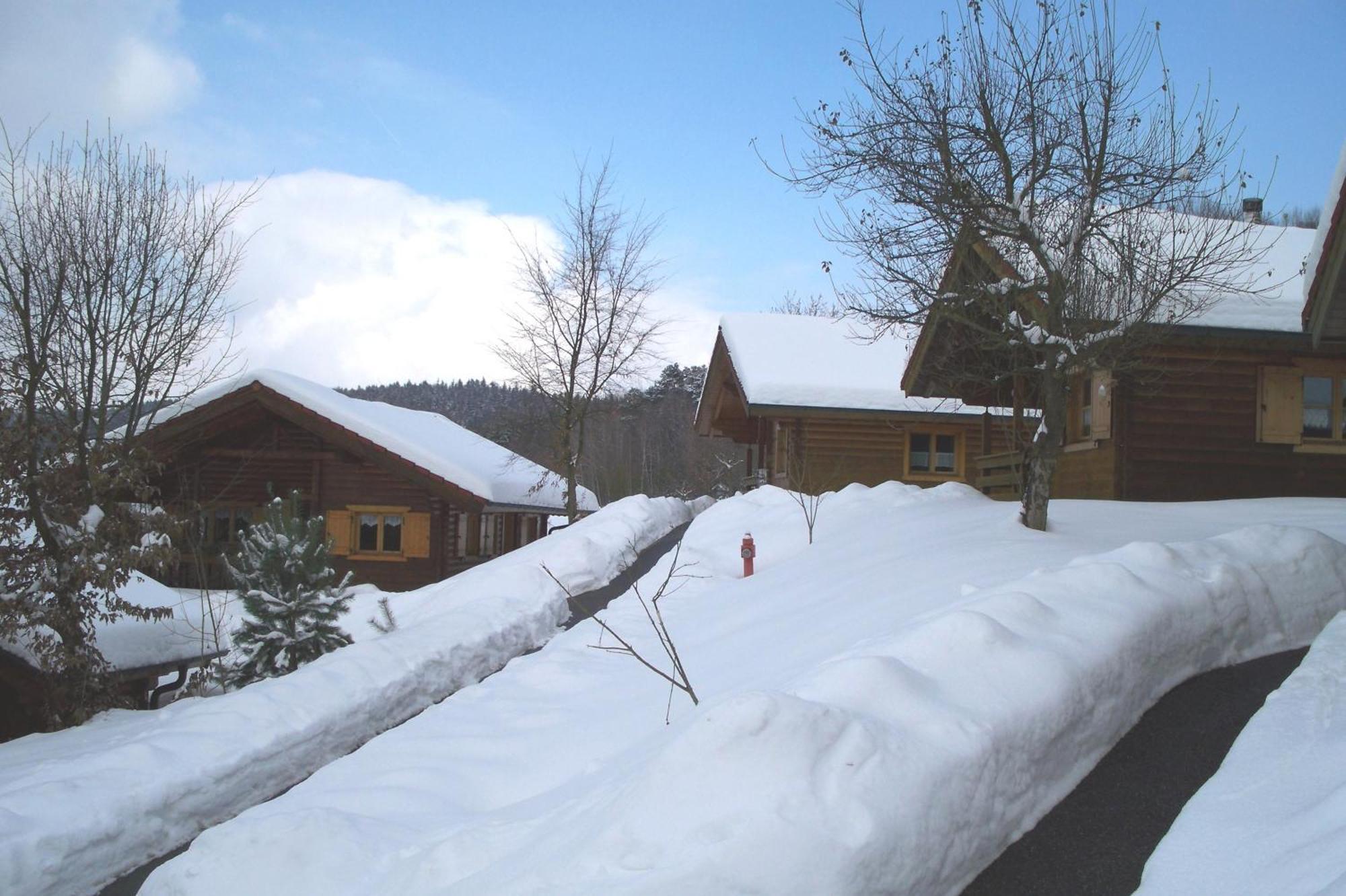 Blockhaus Hedwig Villa Stamsried Exterior foto