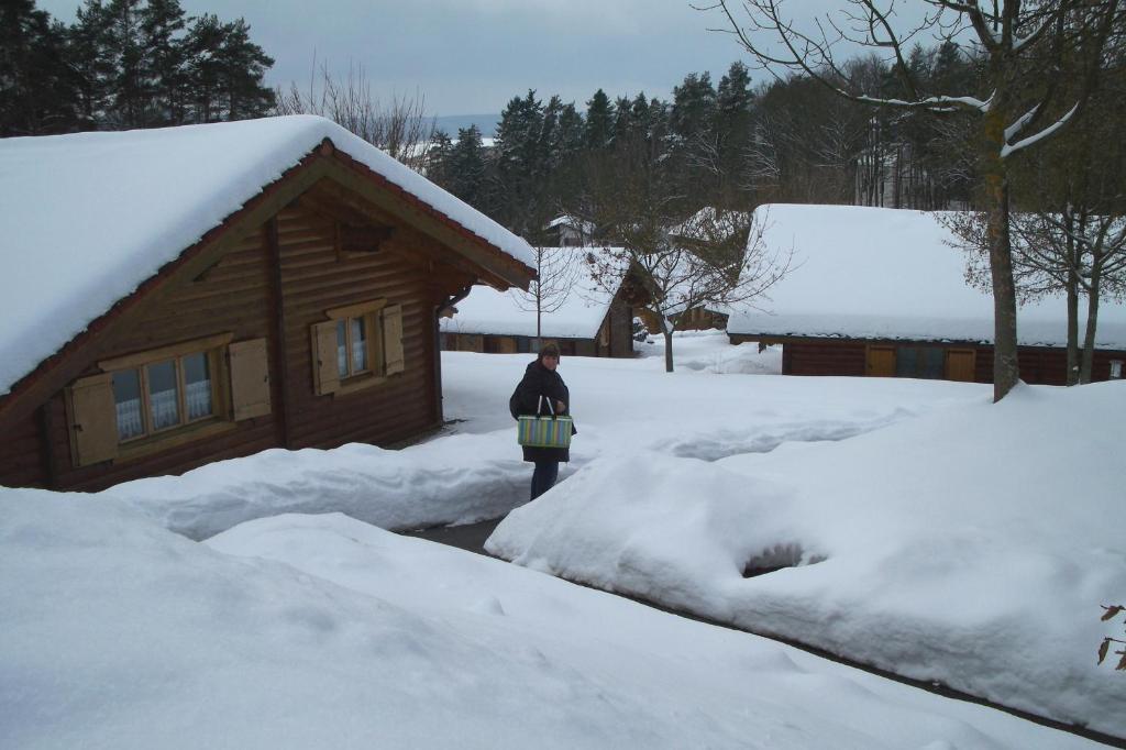 Blockhaus Hedwig Villa Stamsried Exterior foto